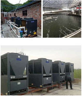 Agua Heater Residential de la pompa de calor de la fuente de aire del CO2 R744 90 grados con el compresor de Dorin
